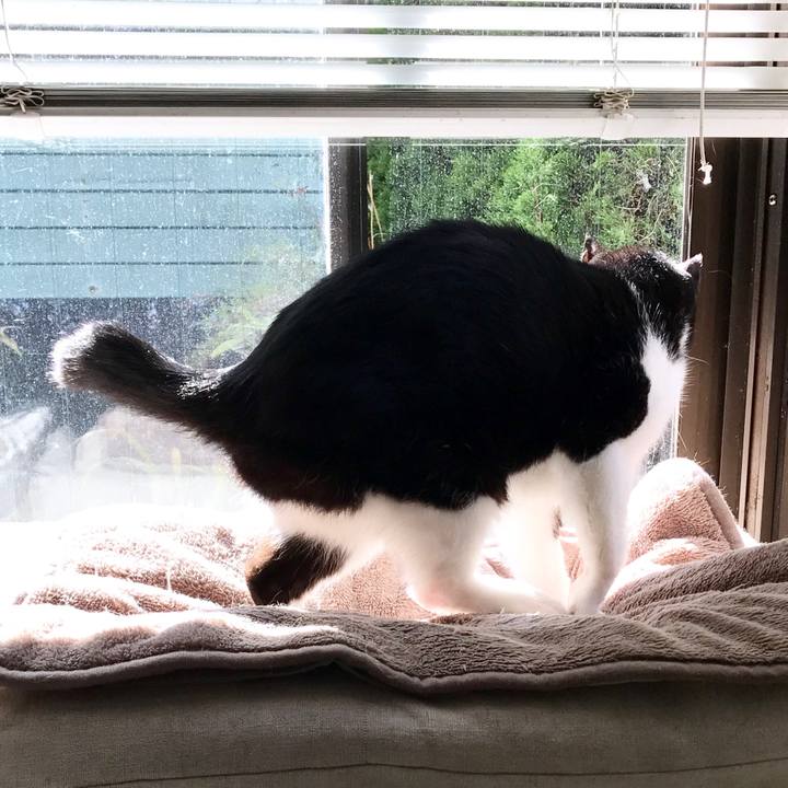 2e364c30 e01b 47fd ab1c d84aa670116a 1509164253554