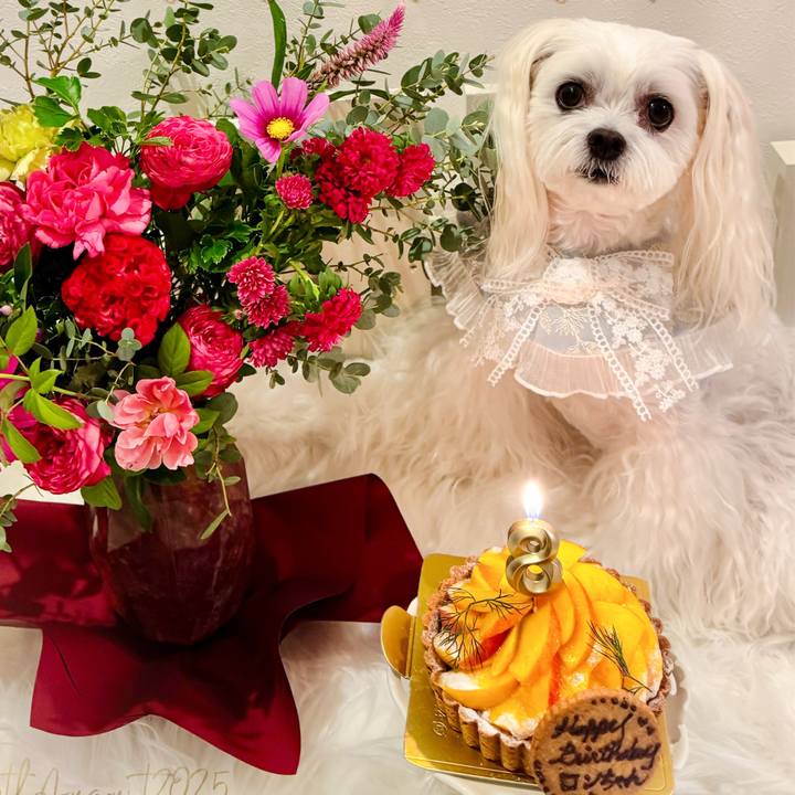 2e366f1e a43e 4e33 9832 213798286c53 1756155328765