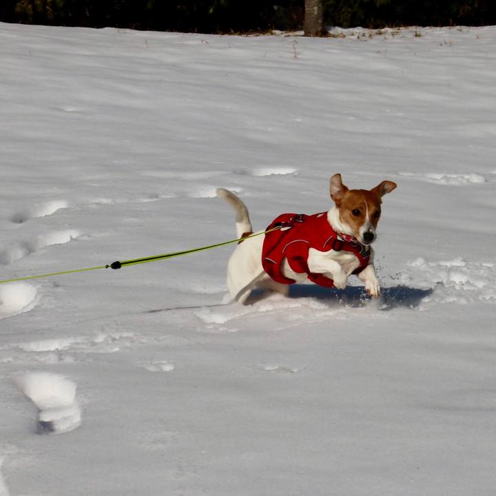 2e368080 d2d8 4345 b1ac ab6d06f39989 1548843022591