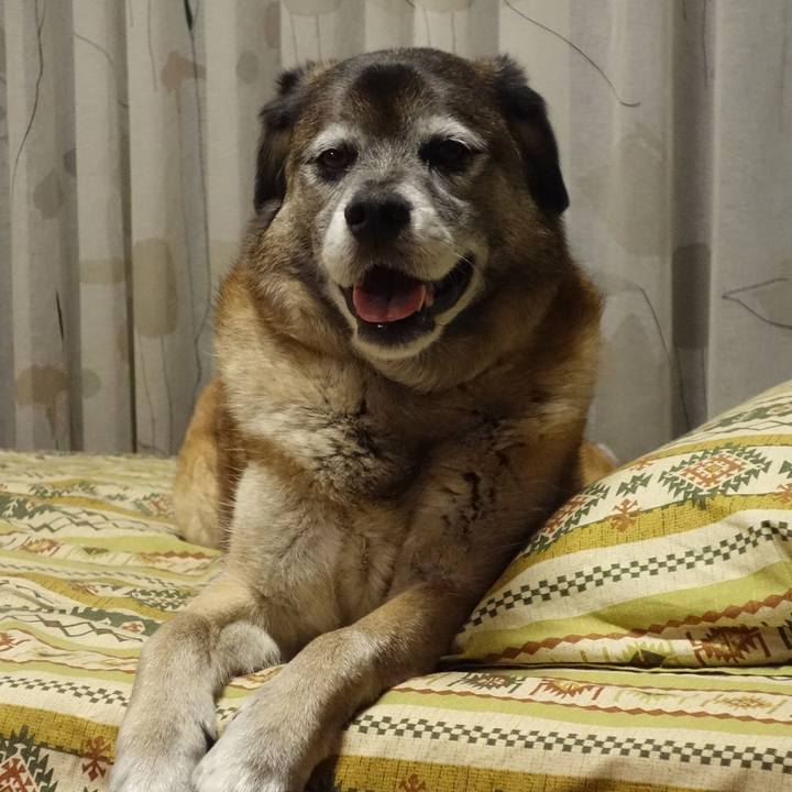 2e36bf45 9c2f 41f2 b85e 83cdb24b367e 1526381274122