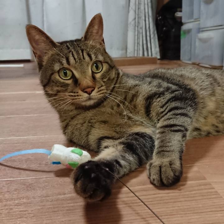 2e36edd7 8a1d 4b47 8515 1f25aa87315d 1563708620859