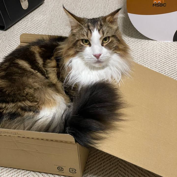 2e371db9 85de 4fb2 9a7d 9982bf3d0646 1658059357877