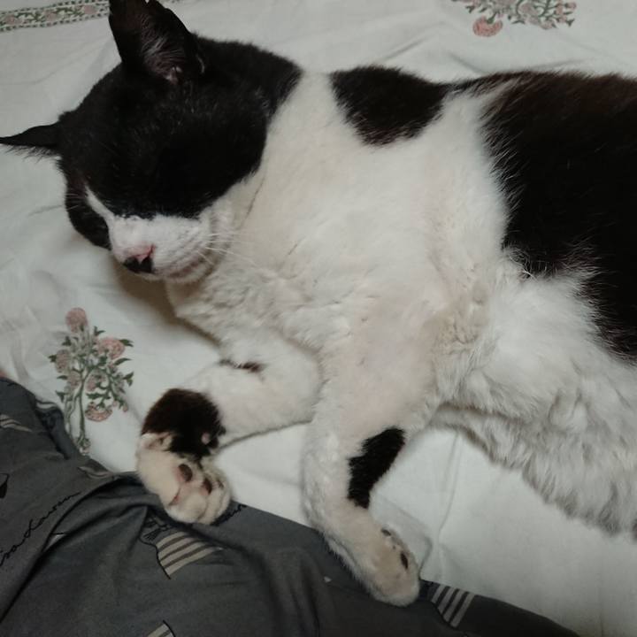 2e371e57 014c 4346 aad1 16238e4d6399 1655376594675