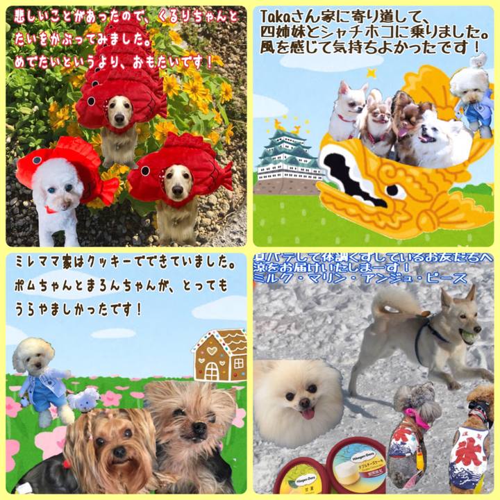 2e372050 1429 4c2a 8b16 e292eaf3e2c7 1532384233108