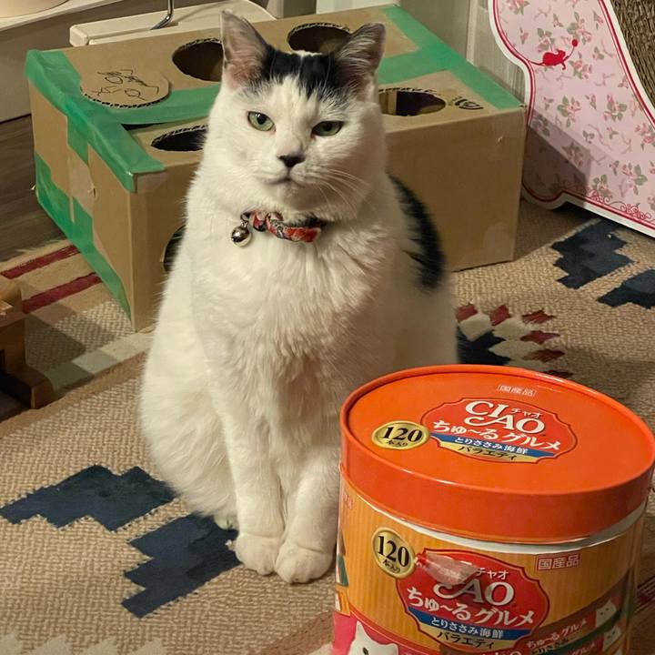 2e372636 3cc6 43f5 8299 8259c54c6882 1736597619502