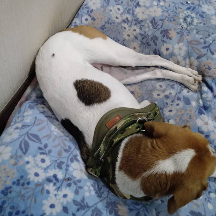 2e372948 45f2 4c86 8416 45e1848c2289 1669827195309