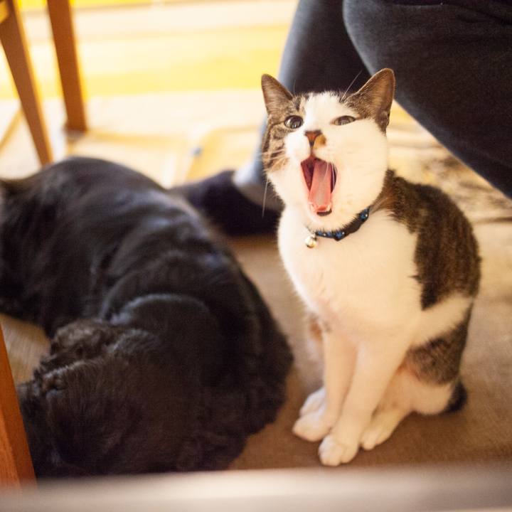 2e37391f 6836 46a4 bd24 88989ddea1a1 1550335396032