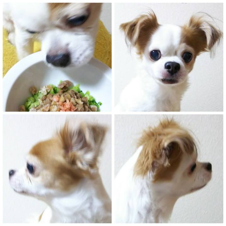 2e373fb4 02e4 4960 bc60 fc7eb19a000e 1573376856993