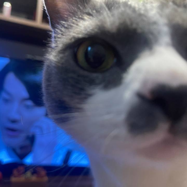 2e3759be 7051 4abc ab7d 862aab2d30d9 1624280964383