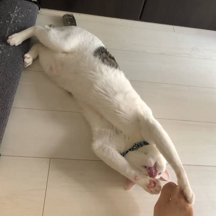 2e37bef3 0e4a 489b 9945 9daaf7b0adda 1529294164461