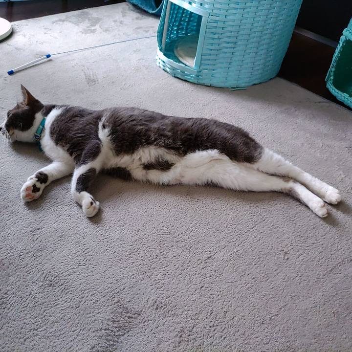 2e380501 1215 42e7 91c1 b24fe6adbc25 1660437934539