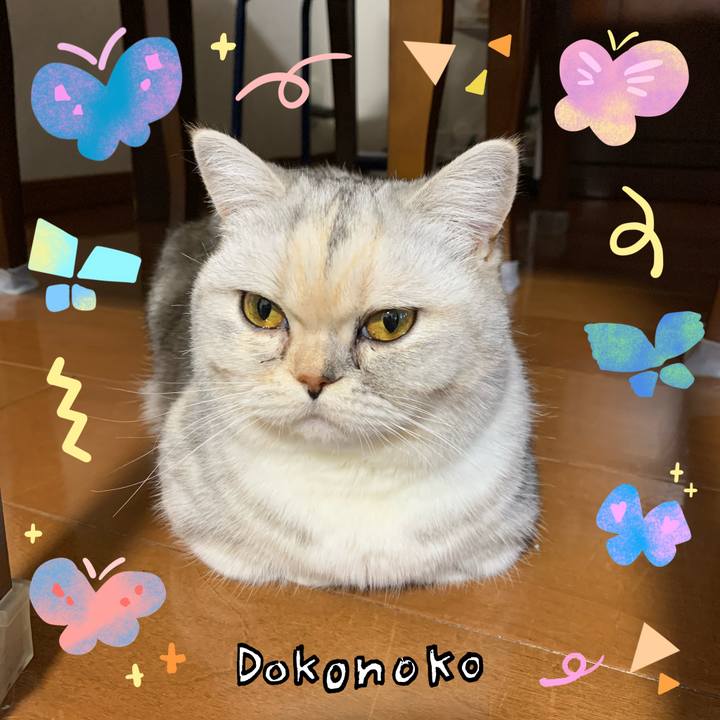 2e381b44 c901 4ecd aae2 6d8eaa729bd5 1711011233562