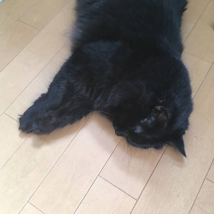 2e38243c c90b 4a35 87f1 f4eebf509435 1533085598699