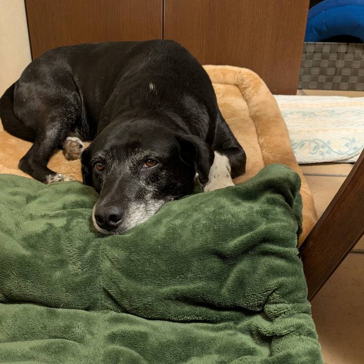 2e383ac2 ce19 4031 9e97 917f84ef5497 1766071281685