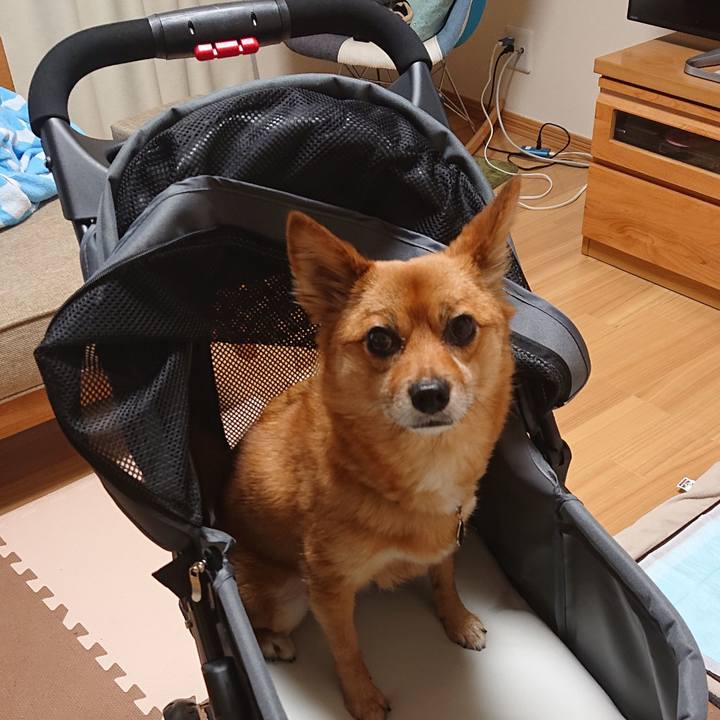 2e3883f9 f52e 4bb9 9b7b a61be5e5013e 1563001265568