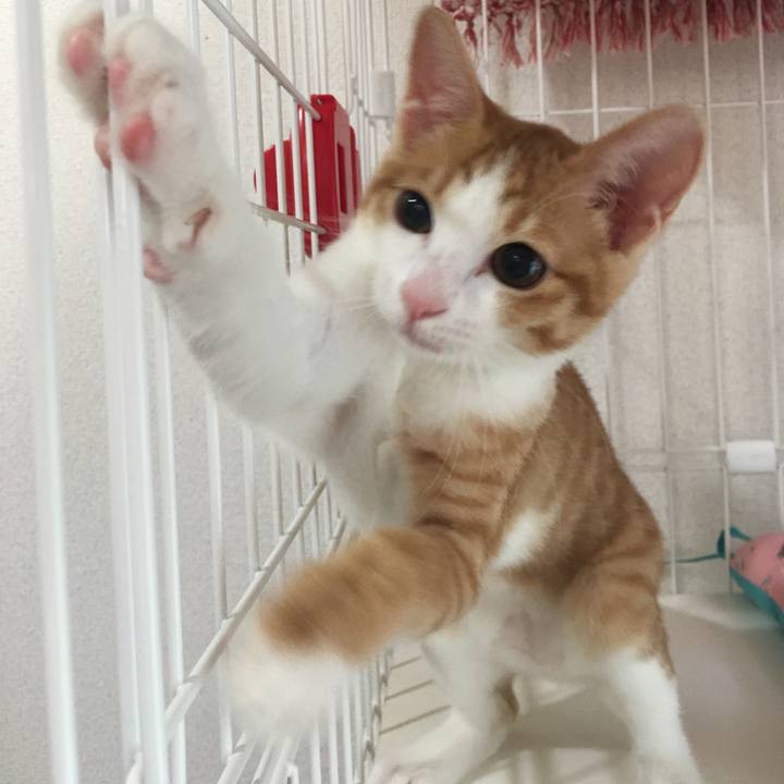 2e38ab98 9f61 454e aa0f 6dabb954472c 1633483878389