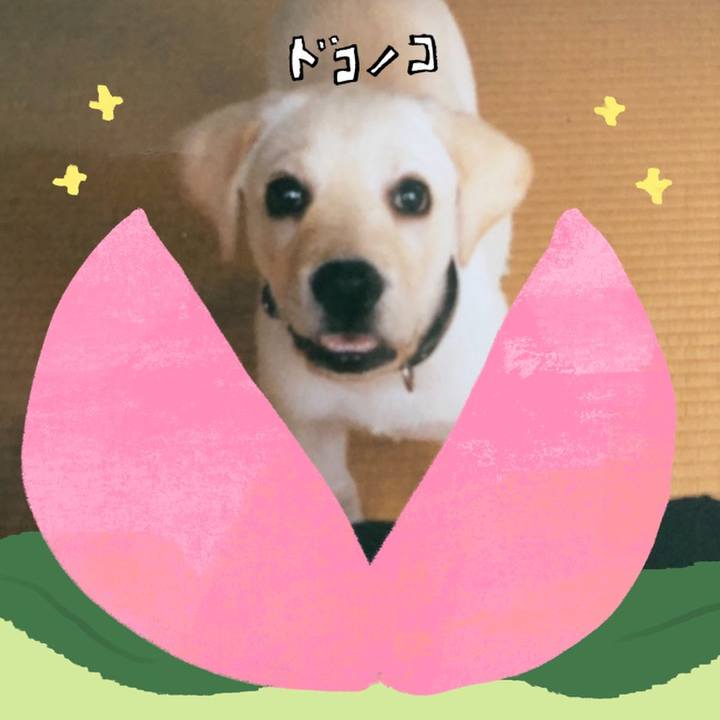 2e38ba21 18c2 427c bd33 04fc7c73d736 1772365364141