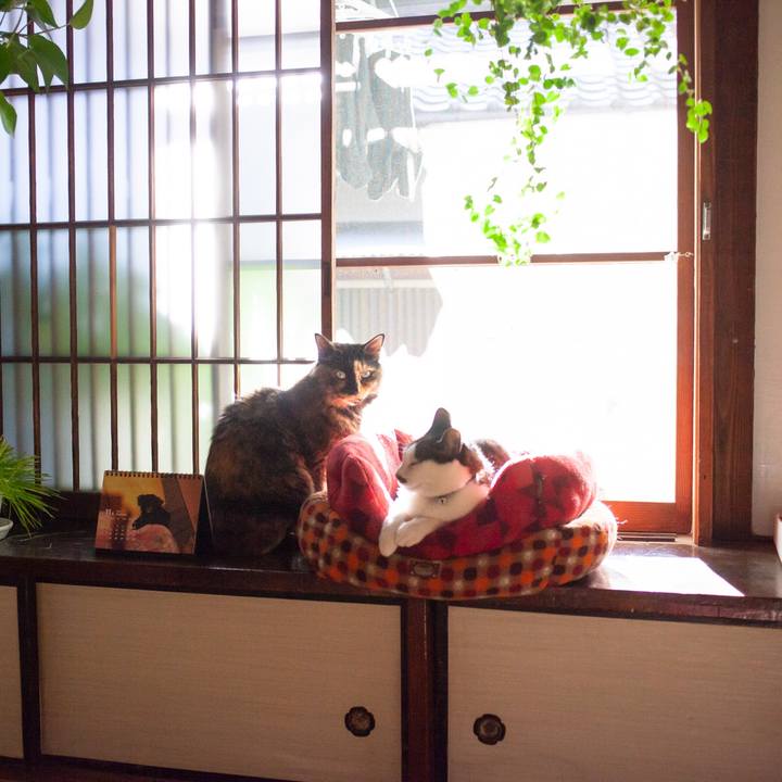 2e38c2c0 b80f 4d10 b2db c48c622da950 1575536304251