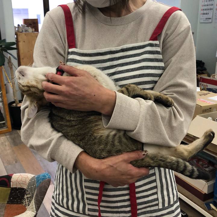 2e39036a 4437 435a afa7 ca6ee7f8fa7f 1611375005413