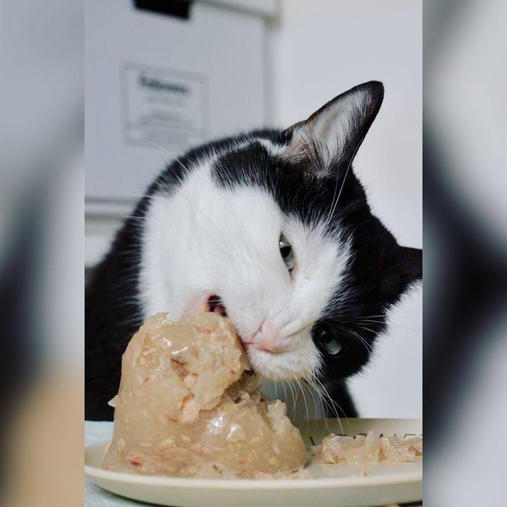 2e396d44 3e87 4911 8b2f 3af47e2ddc62 1688077951118