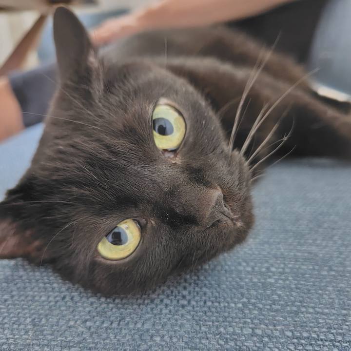 2e39a07b 5312 4e1b aa8d 63e746e7c5b9 1718364214631