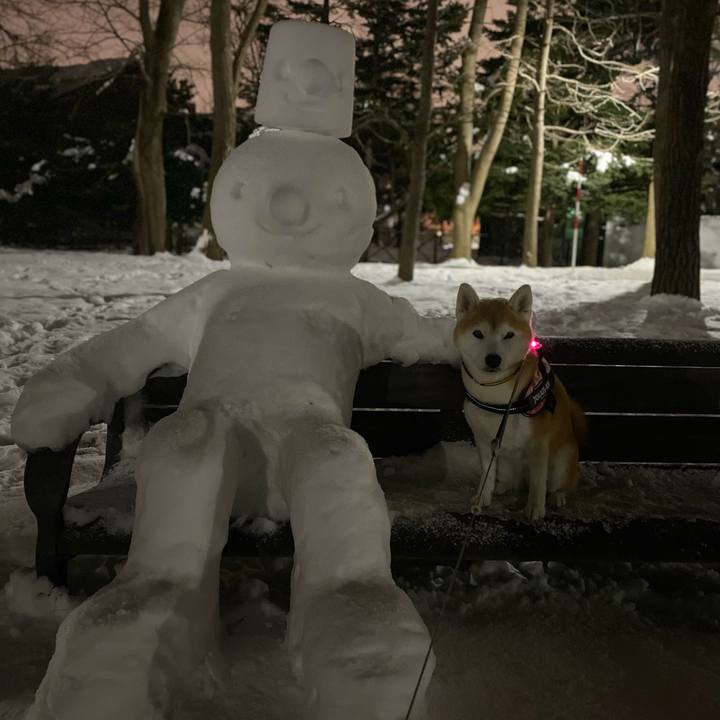 2e39c8f8 3465 4782 a95a 95d1e68aab85 1705052433220