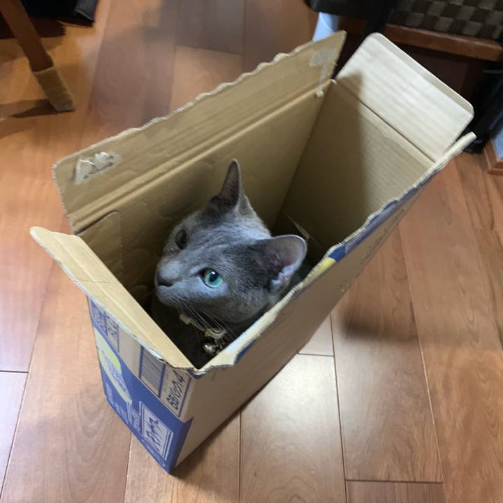 2e3a002d 6f0d 4d44 bda3 27c6b3e16565 1649148051390