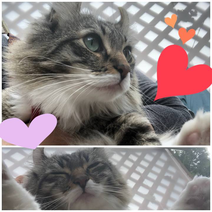 2e3a1442 e15c 45fa bc7d 70dd06613969 1527221504968