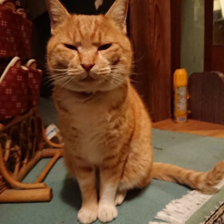 2e3a1cec 1525 40a2 aa68 cccabd1c2331 1577264088650