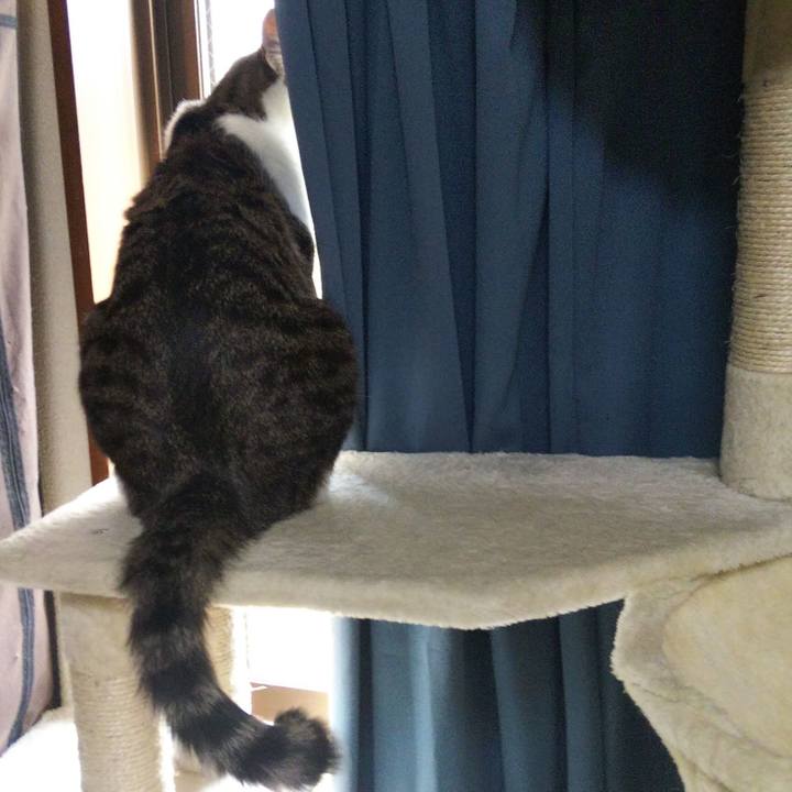 2e3a706f 5729 4f42 864e 373d2b3b1e0e 1646621819119