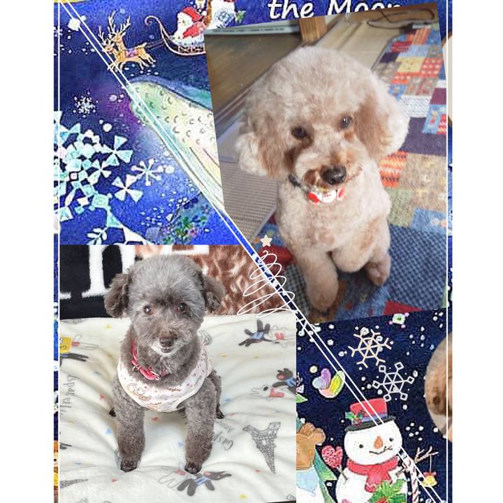 2e3a9758 75f1 4052 a428 f35113c29816 1701062577027