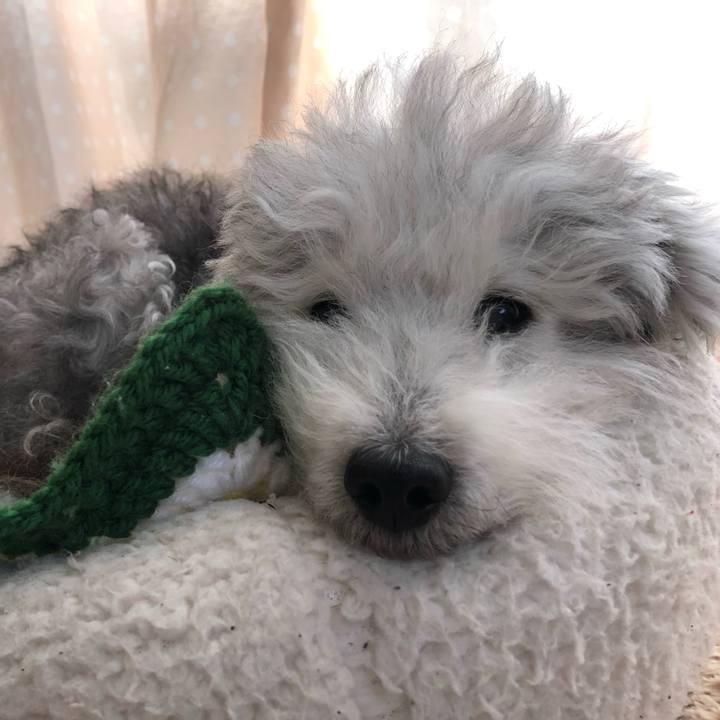 2e3ada0f 5a61 4185 80a3 6a7050c2060c 1609733310579