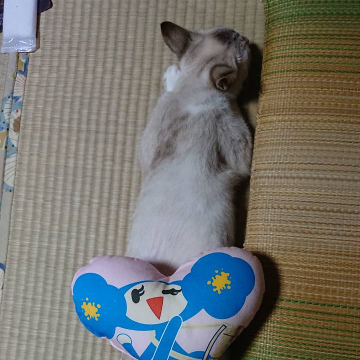 2e3ae870 4ef4 46e7 a8a6 b406a971e300 1531578751731