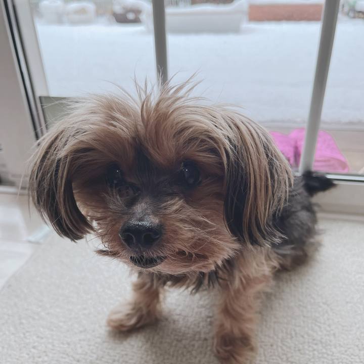 2e3afe55 5cbb 4dda 9bf6 7595f816d5ad 1707173888026