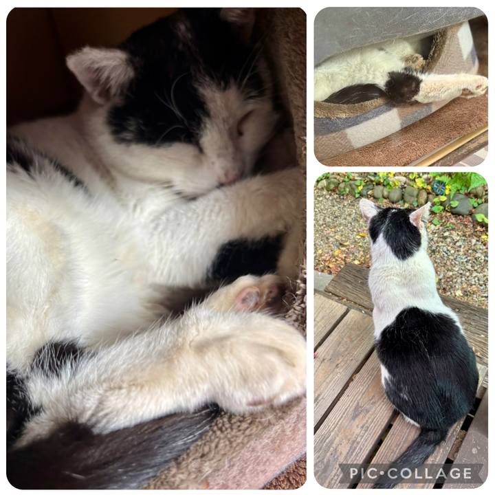 2e3b19e5 9cdd 4598 9368 ffd3570fe4f0 1764565916026