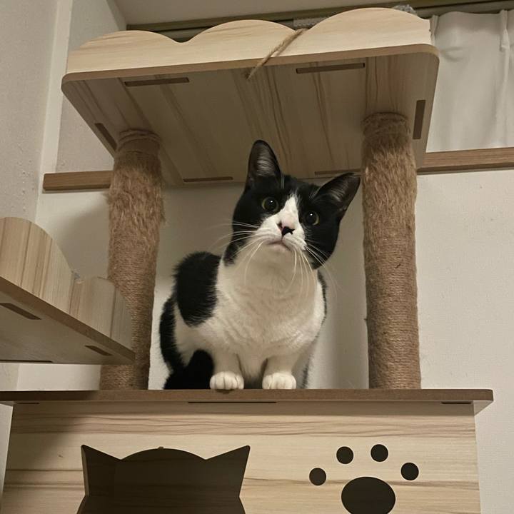 2e3b1c54 a076 44e6 acd4 eaf3e7bc493d 1709288899667