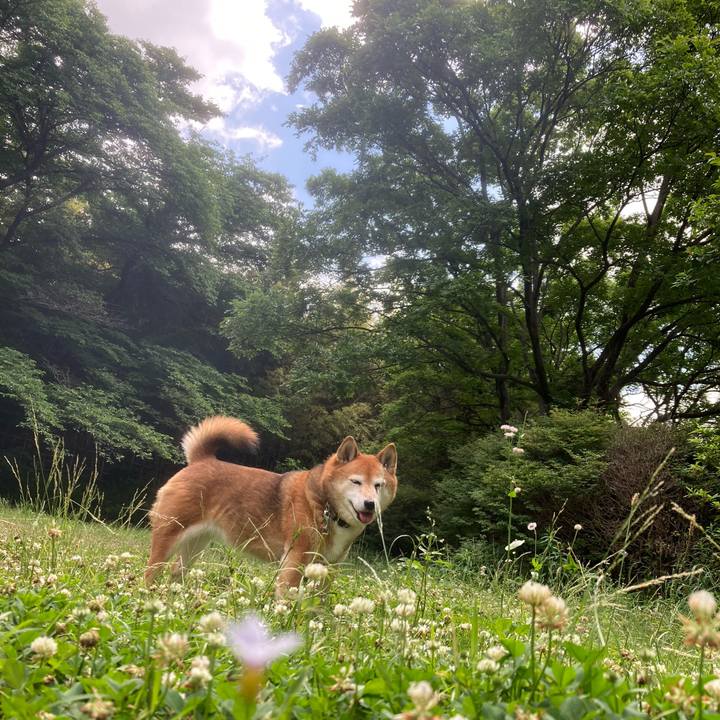 2e3b2494 92d9 4e13 b180 0b04a5a37c20 1653369592089