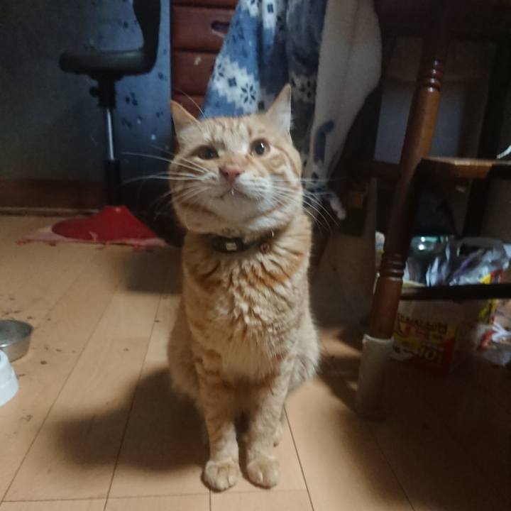 2e3b40a1 0f13 49ab b96e 4cffdb5cbea2 1649710484341