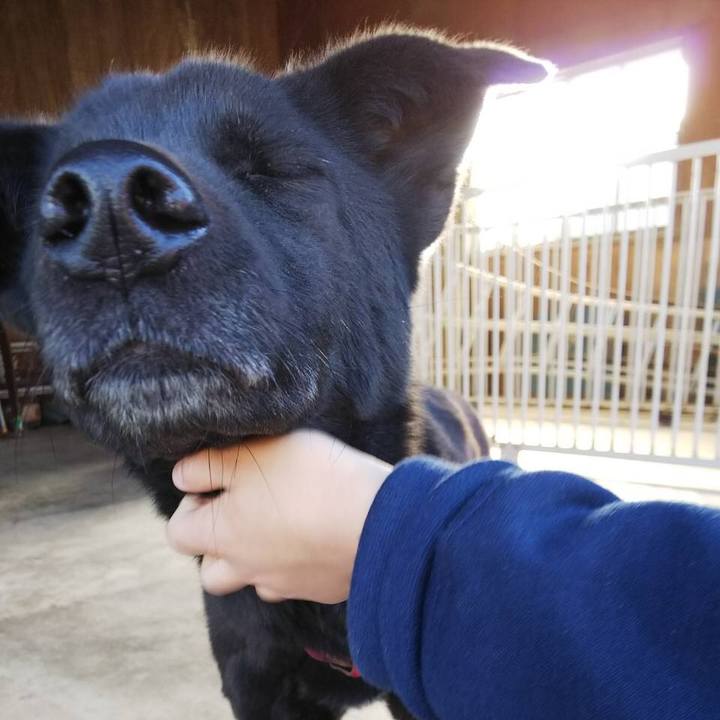 2e3b66b2 1351 4012 8afa 842729d24b5c 1546534837656