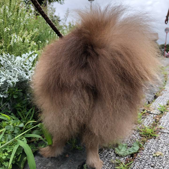 2e3bae5a 256f 48c1 aeb8 fb053c8a598e 1628661417292