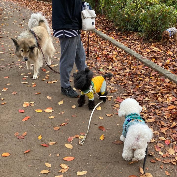 2e3bd7c4 bc45 4260 9208 130af117ce98 1669689167982