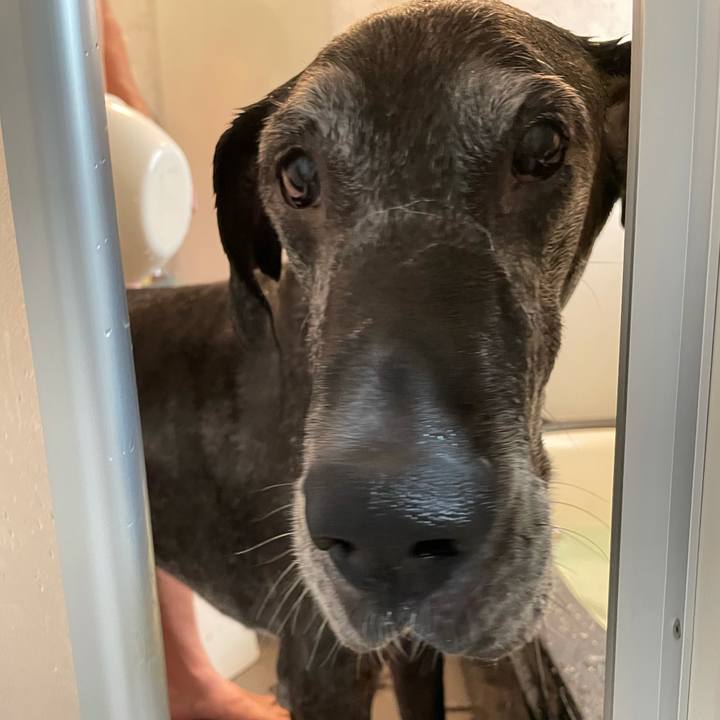 2e3bf4ab e211 409e aca8 71861264b096 1619248573228