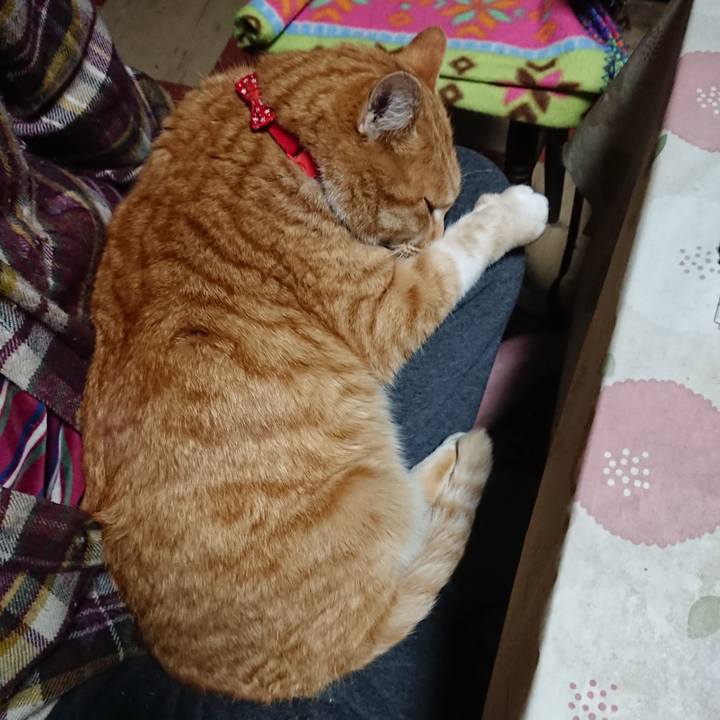 2e3c07c0 fc4b 4f4d 9671 f0876a151c5b 1578344018937