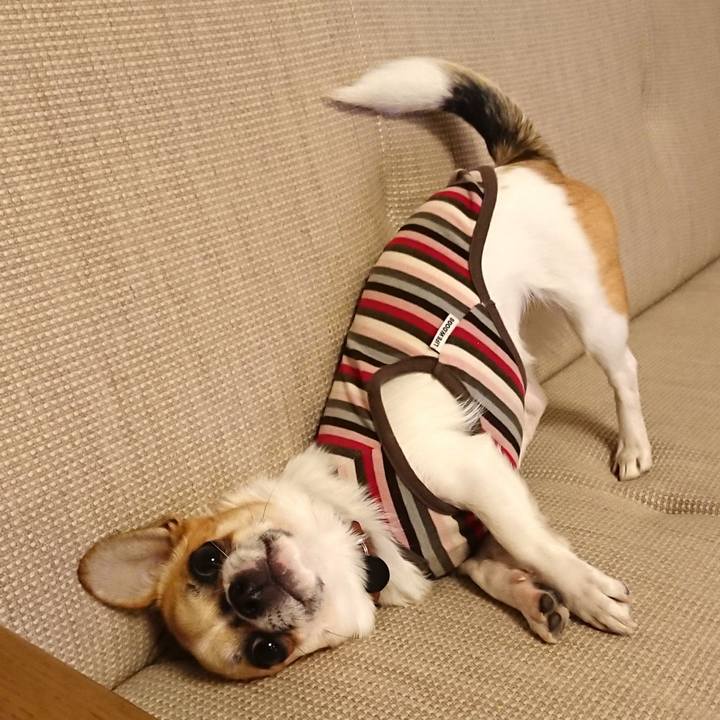 2e3c1d10 3152 44f3 bdec b9fa640ab7df 1550044807251