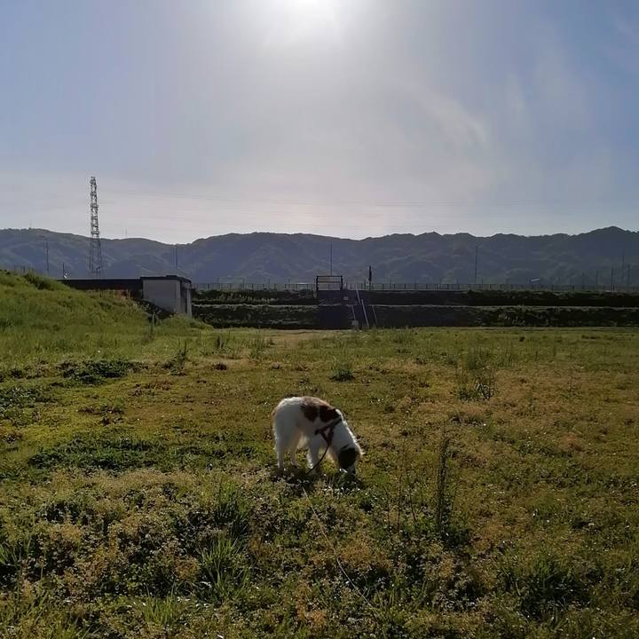 2e3c8106 f871 47af a0be 5a4a3b37d0dc 1619481810415