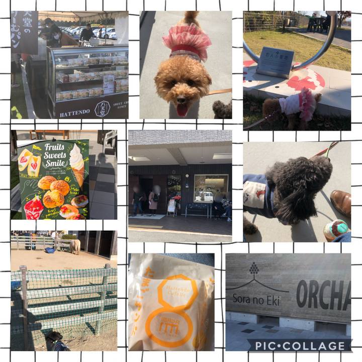 2e3ca28d a444 461e af06 aea83567763a 1605431024350