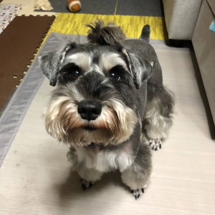 2e3cccd3 1ed8 4f66 ad5d 17cc7b28e781 1571828087087