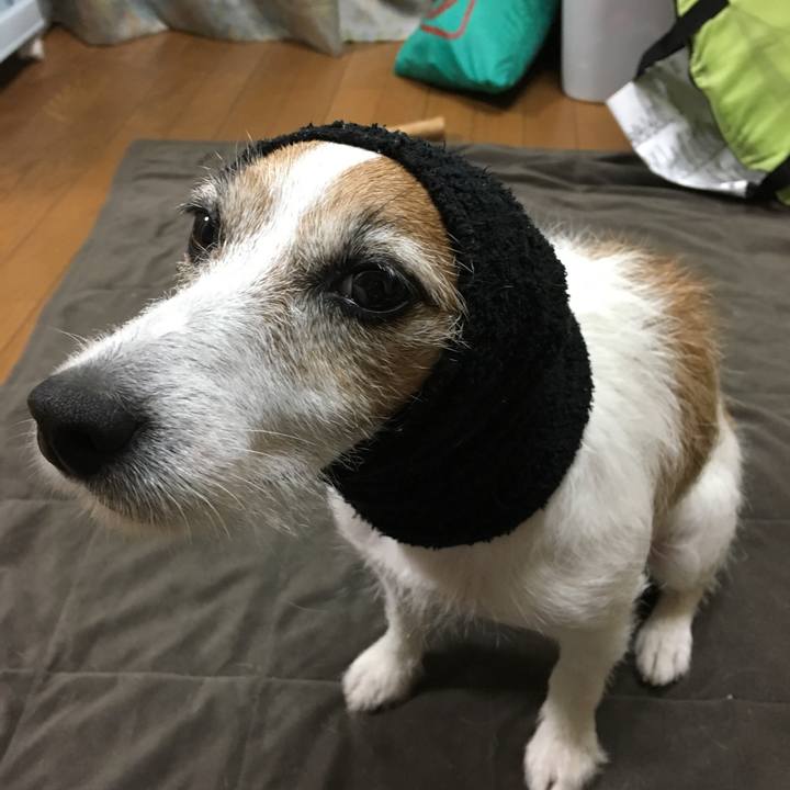 2e3cd5f2 9ad4 4e9c b907 b7f58d3fcfeb 1571785443763