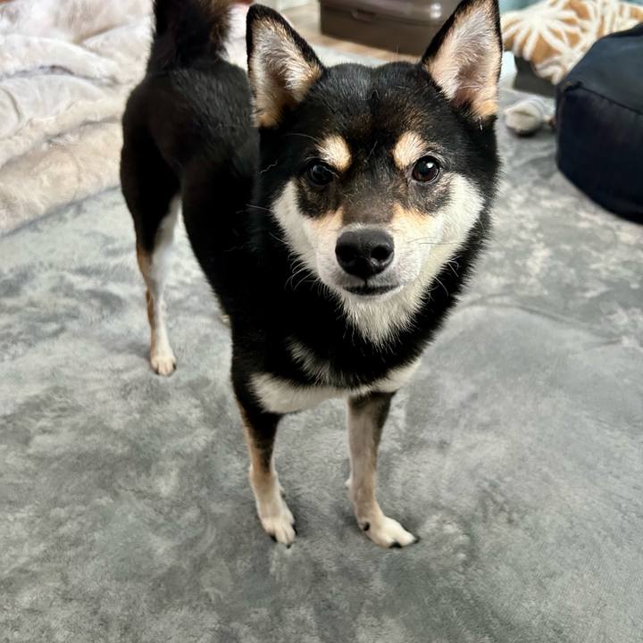 2e3cec02 b4f5 45b1 bd3b 09d3f44b14c9 1714805362029