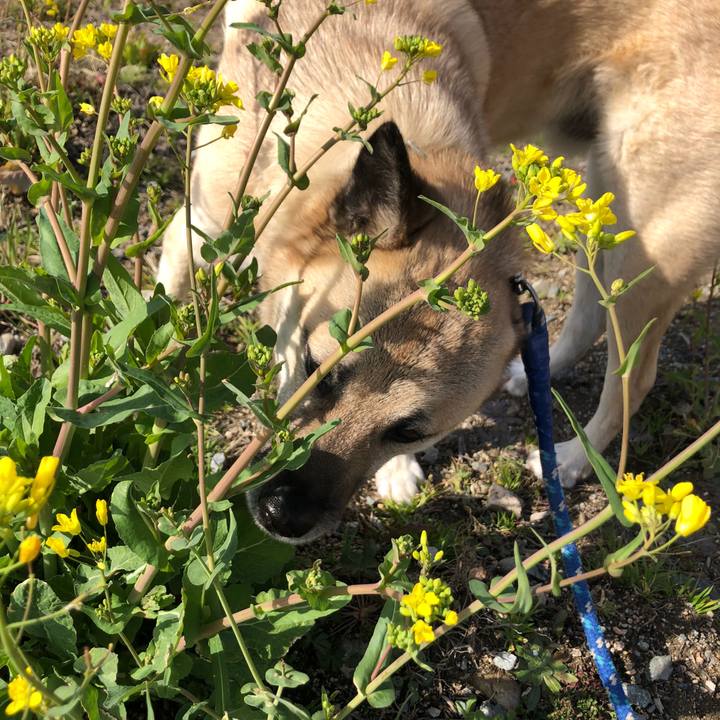 2e3d10dd 6c54 44b6 8b2d 7de106eb8853 1614515837628